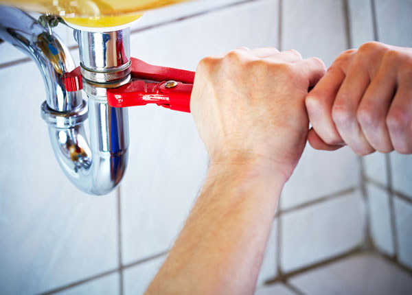 About Startup Plumbers